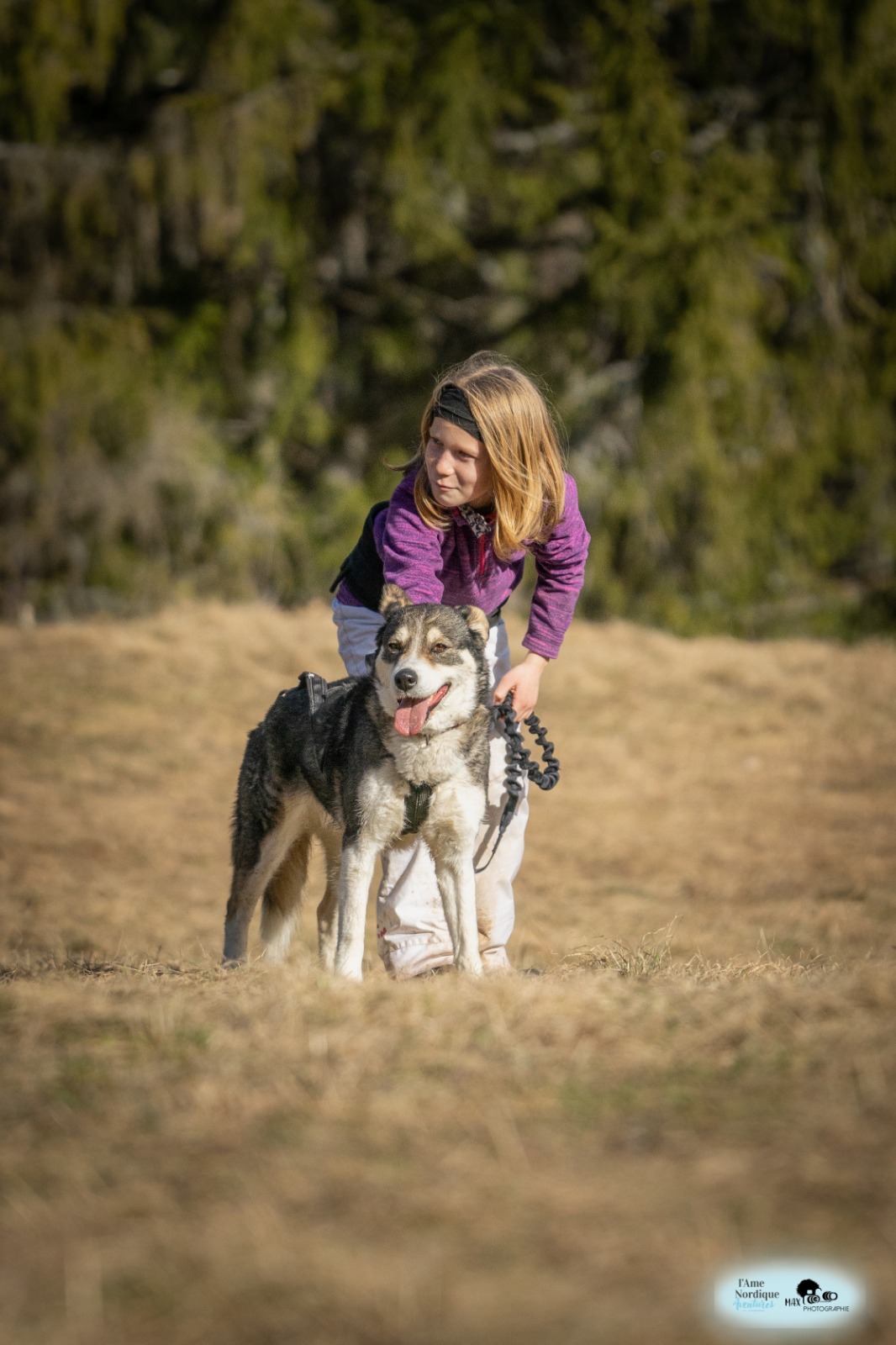 Coup de coeur poney - Image 2