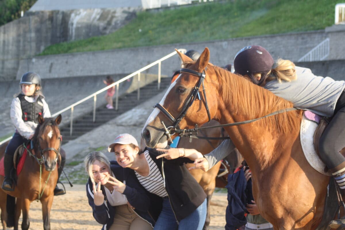 Stage équitation en Normandie - Image 3