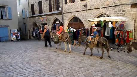 Multi activités sensations dans l'Aveyron - Image 3