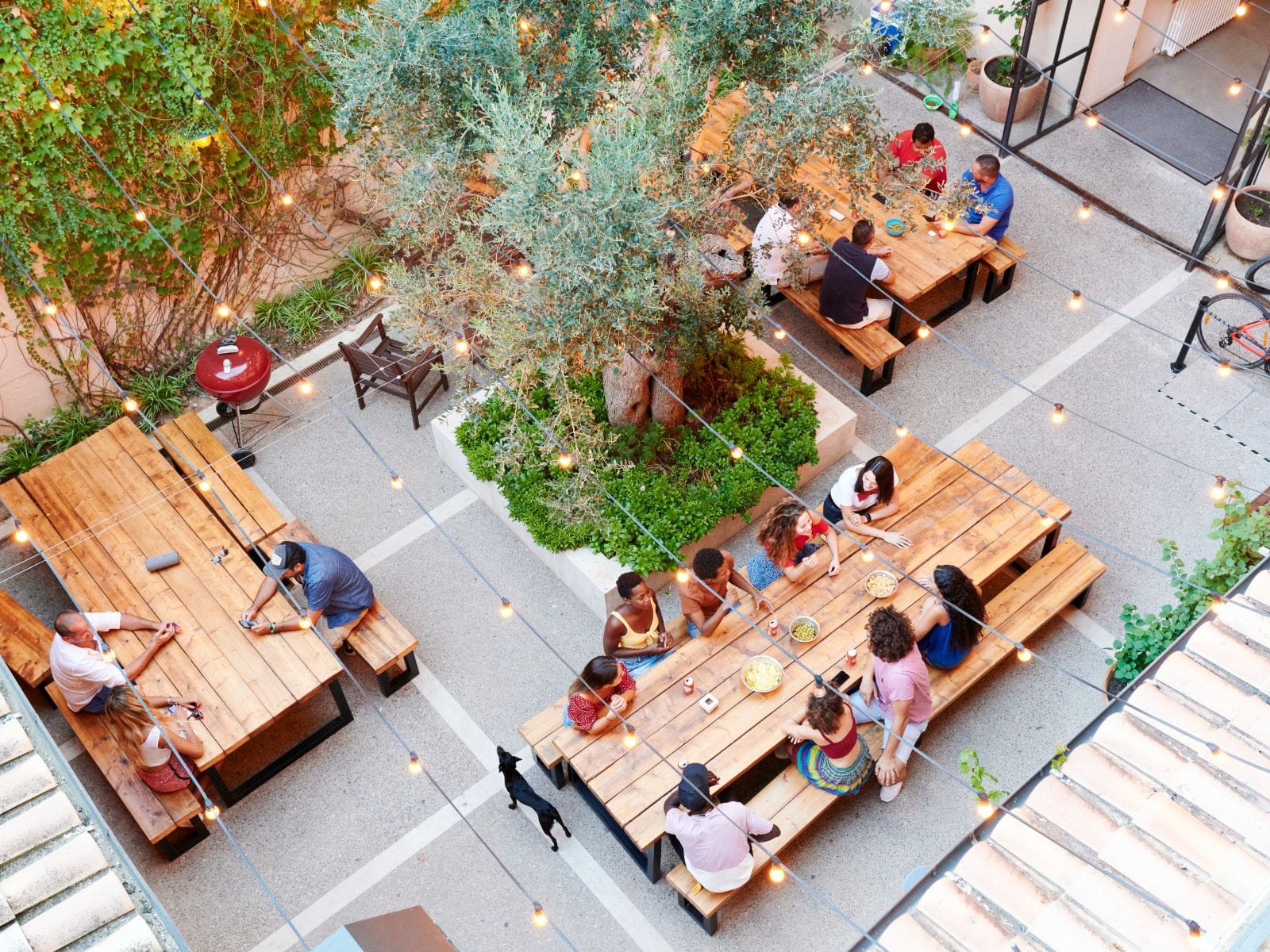 Trip ados aux Baléares - Image 2