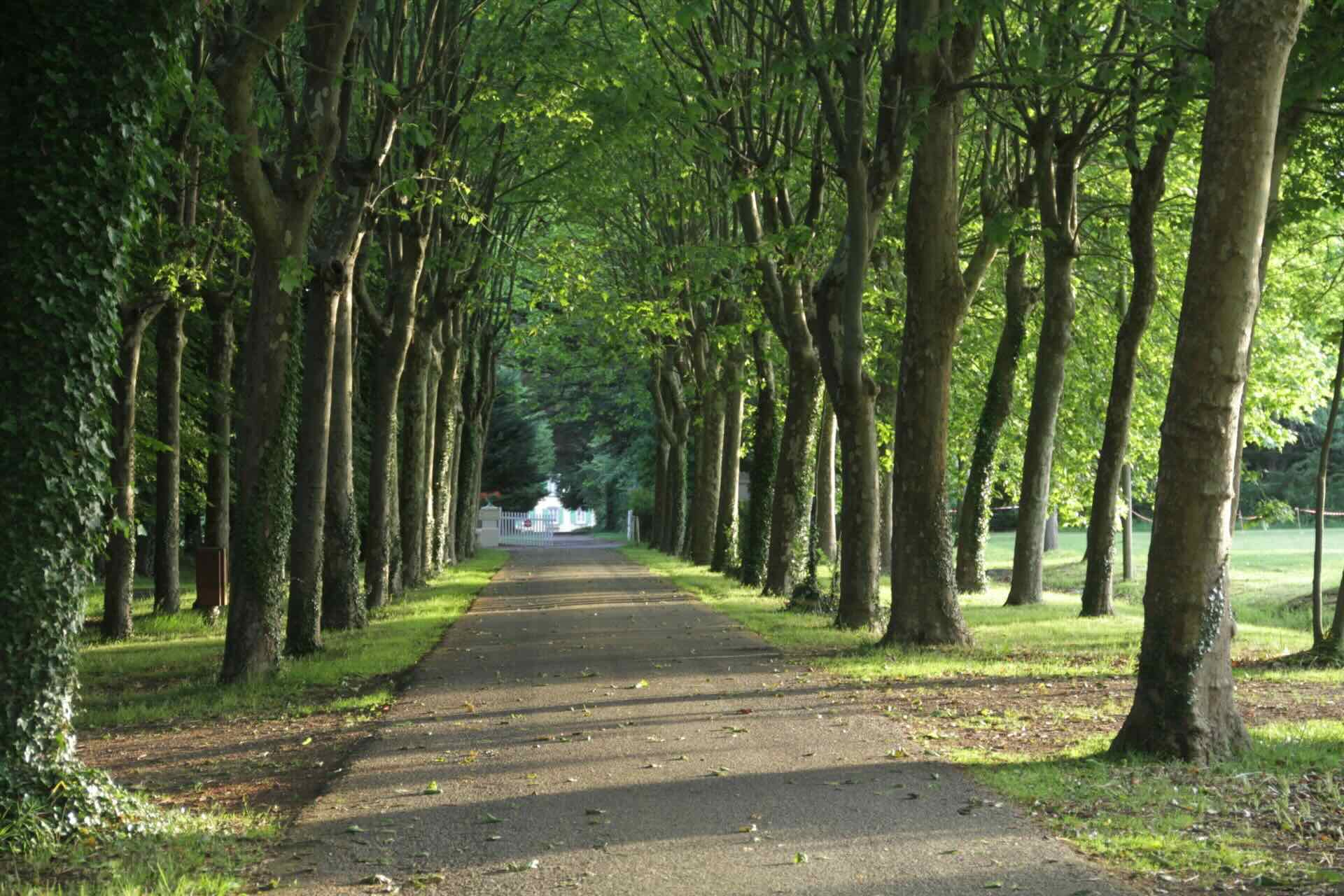 Stage d'Equitation - Image 2