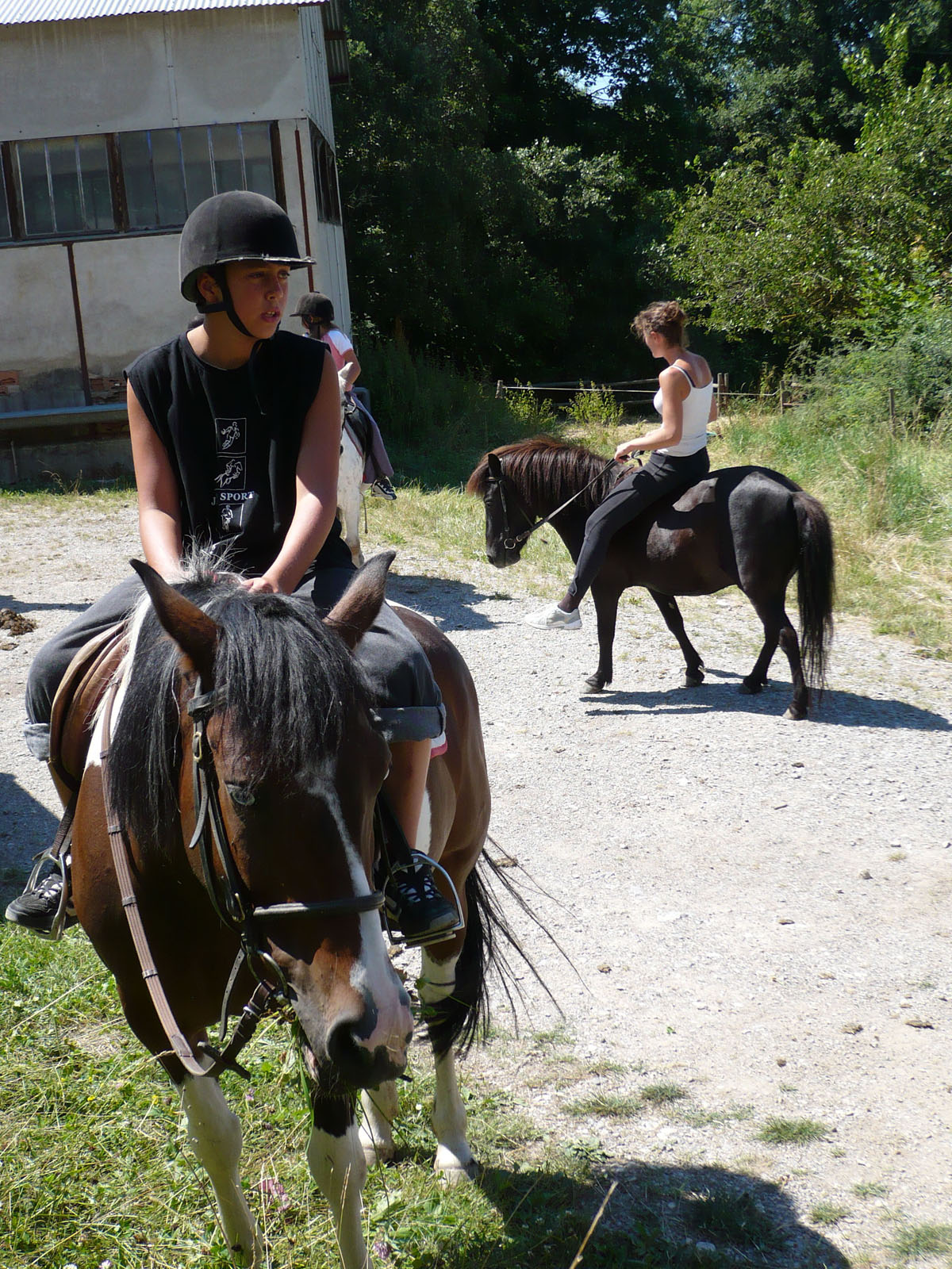 Colonie de vacances passion poney - Image 3