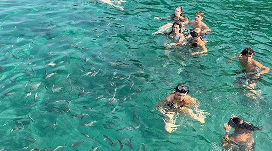 Brésil Printemps - Image 3