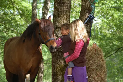 Stage équestre au cœur des Landes	 - Image 1
