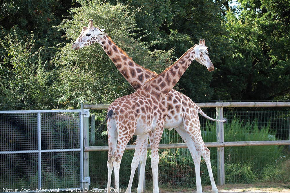 Mon premier départ en vacances - Image 1