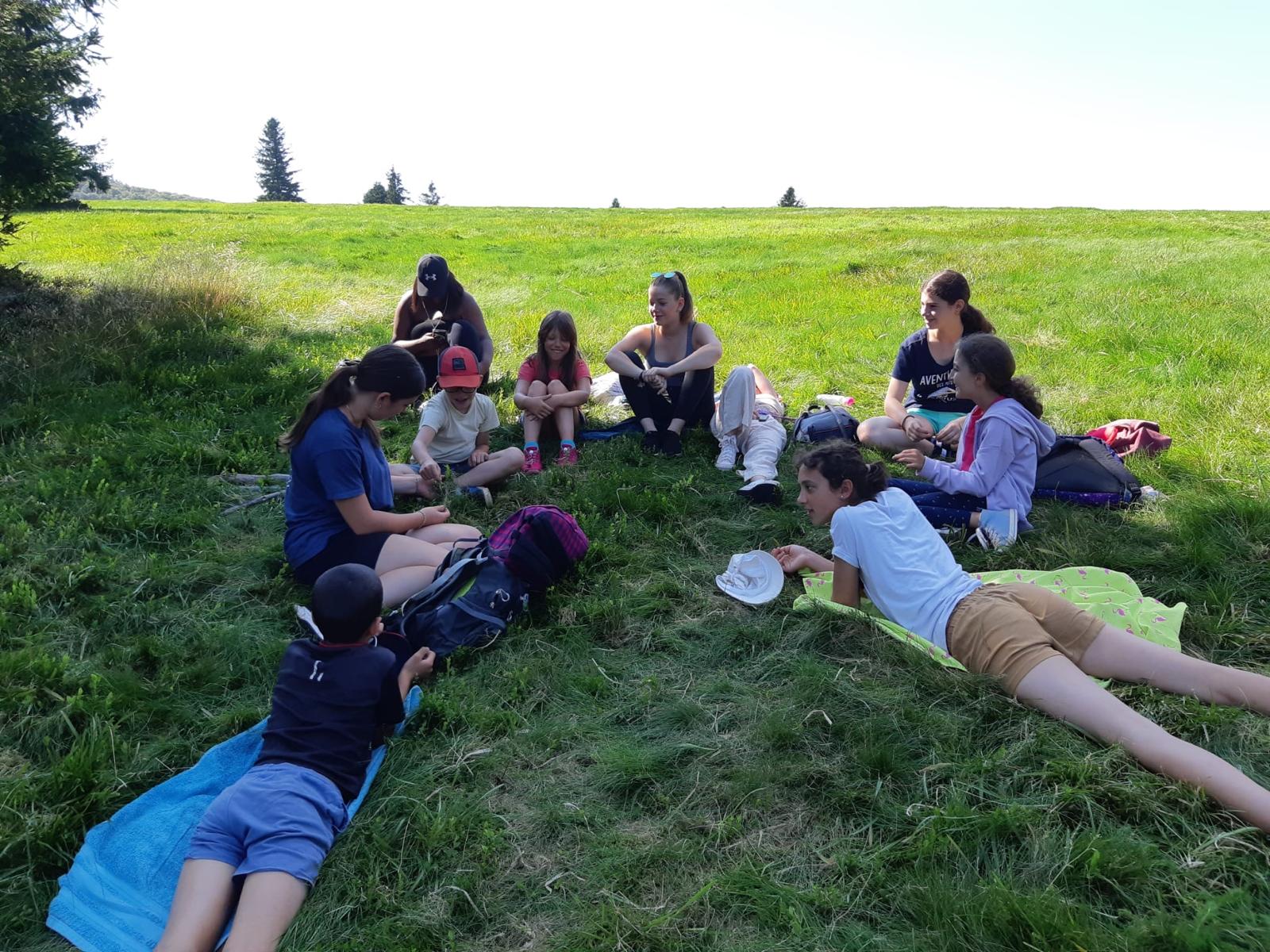 Cheval Sport  - Image 3