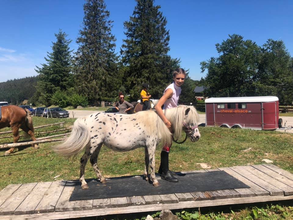 Cheval Nature - Image 2