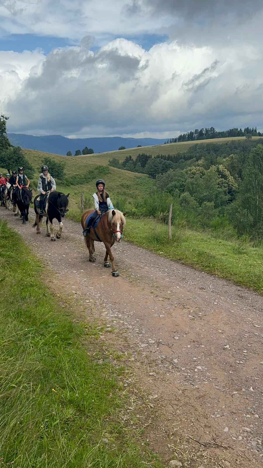 Cheval Nature - Image 1