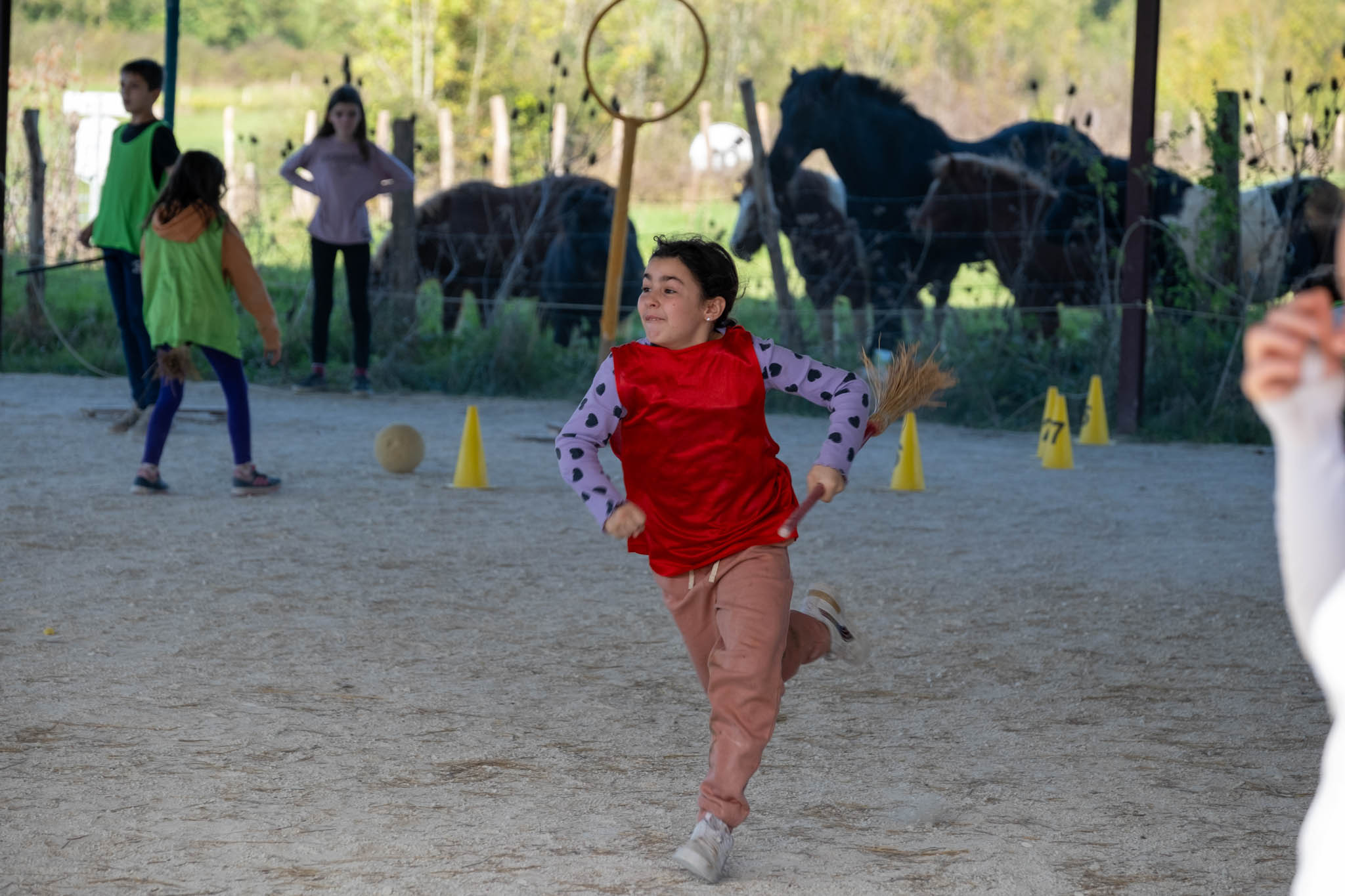 Les Sorciers de la Nature - Image 1