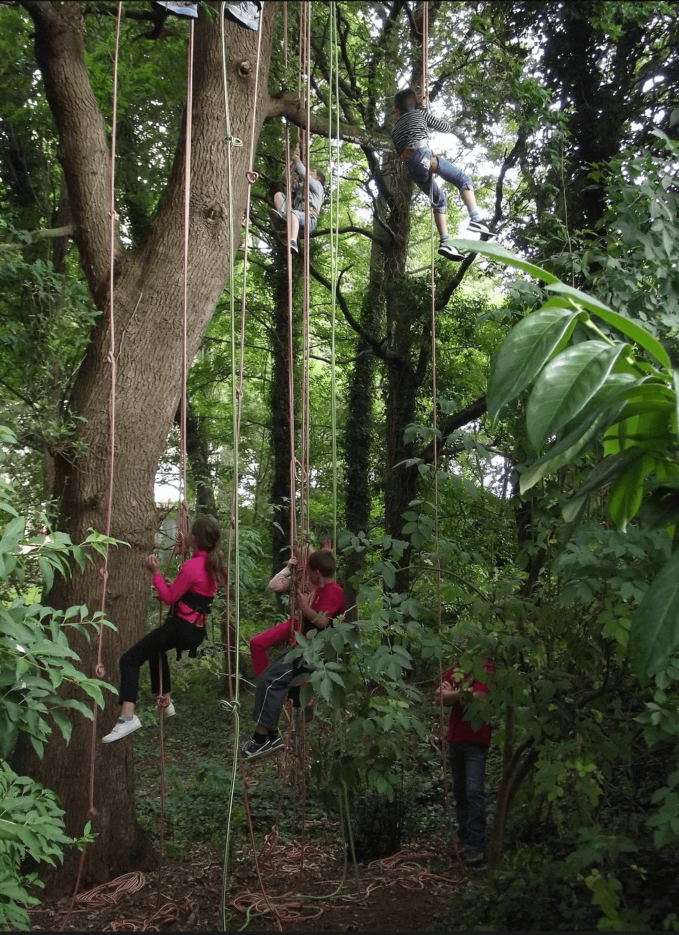 Mets les voiles !  - Image 2