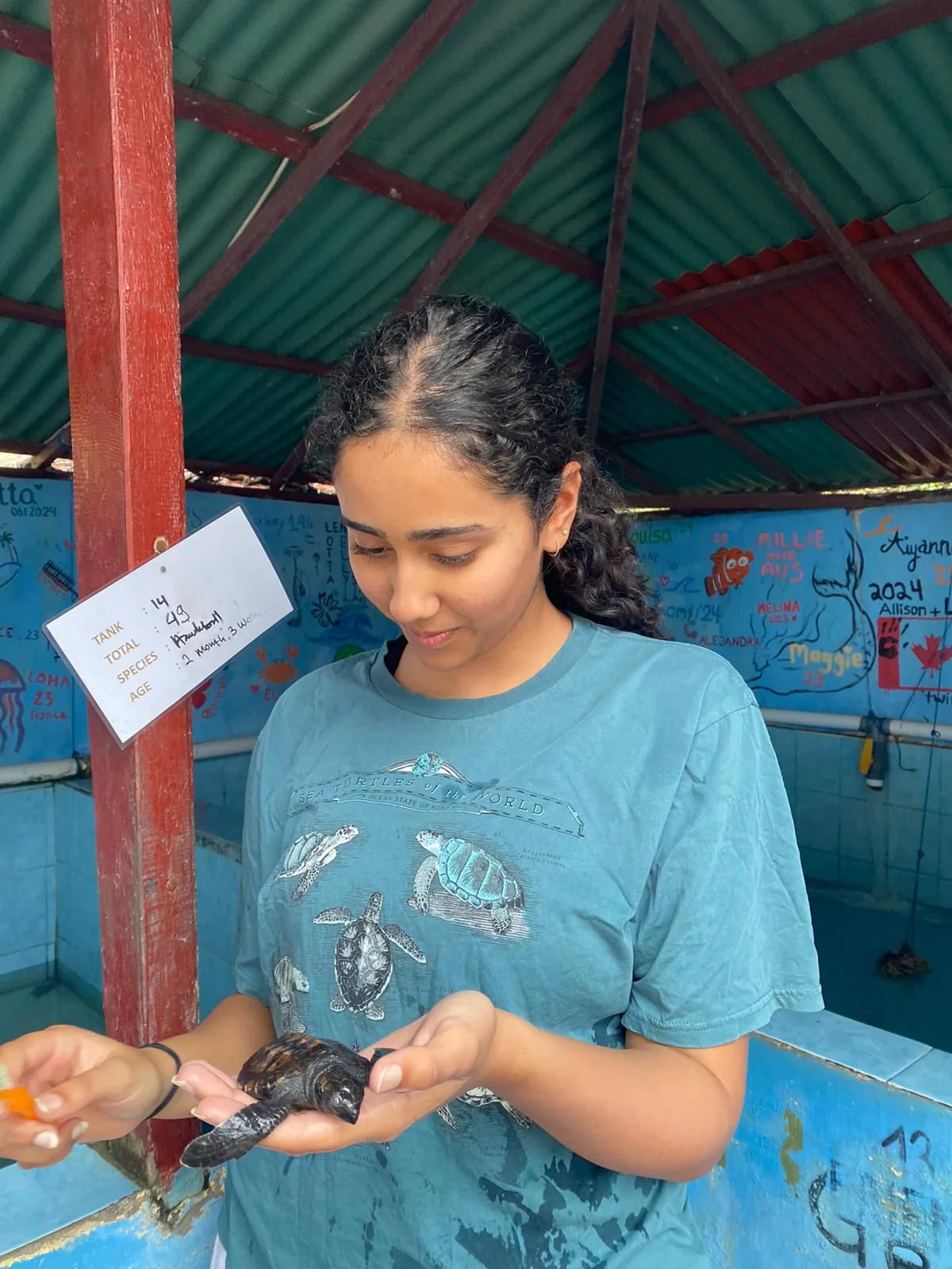 Summer camp : conservation des tortues marines à Bali - Image 3