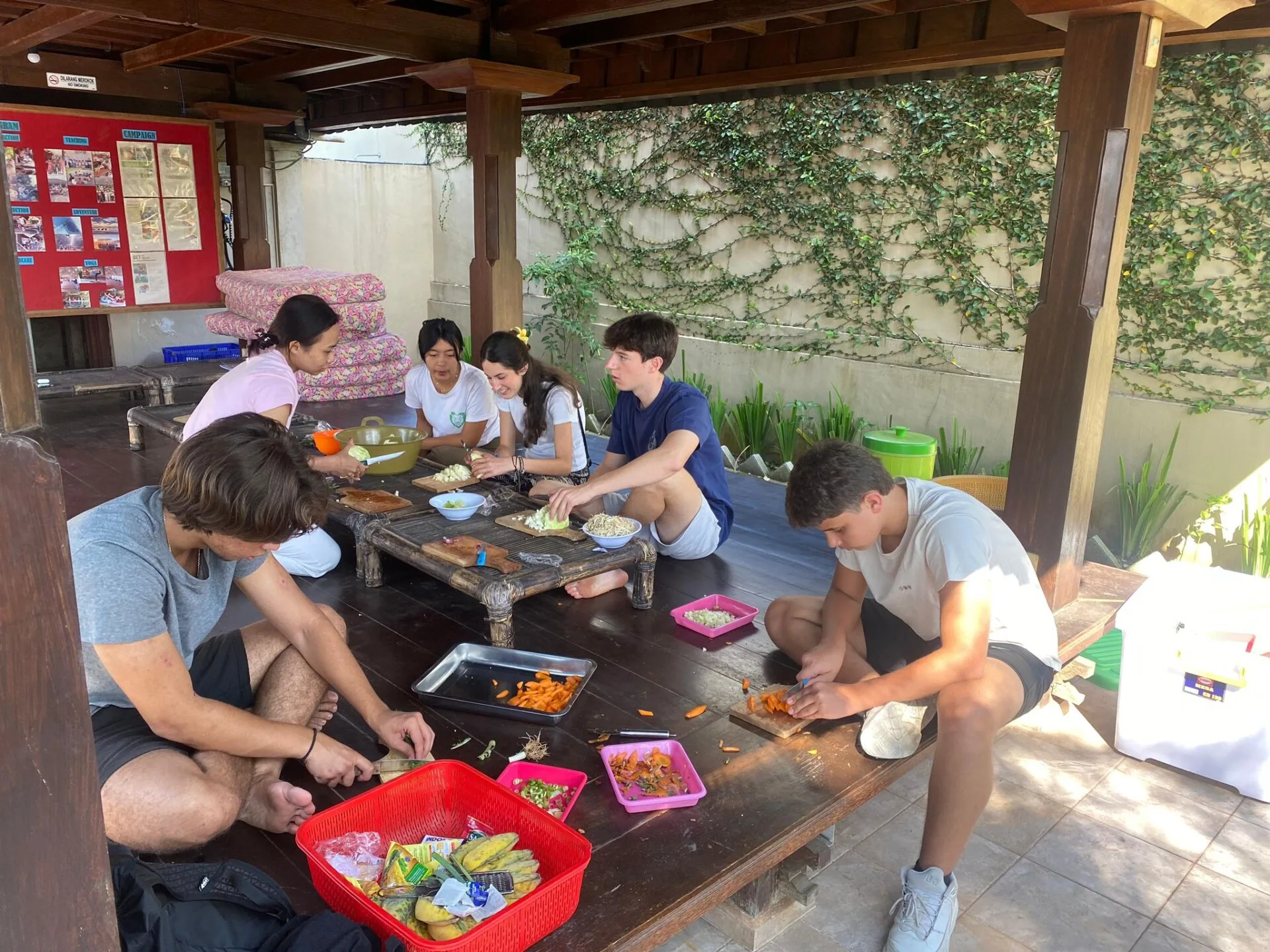 Summer camp : conservation des tortues marines à Bali - Image 1