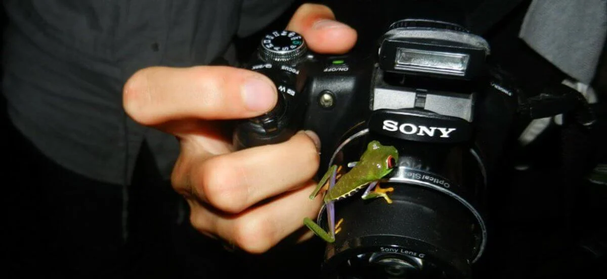 Summer camp : protection des tortues marines au Costa Rica - Image 2