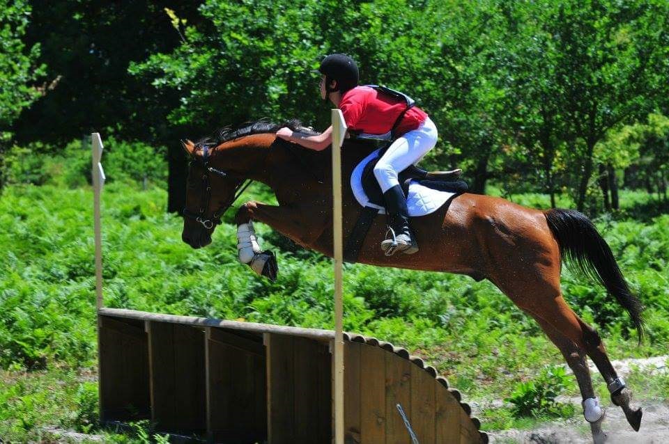 Séjour Hunter ados (G5-6)- Perfectionnement hippique et Cross  - Image 1