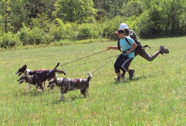 Colo Cani-Rando  - Image 1