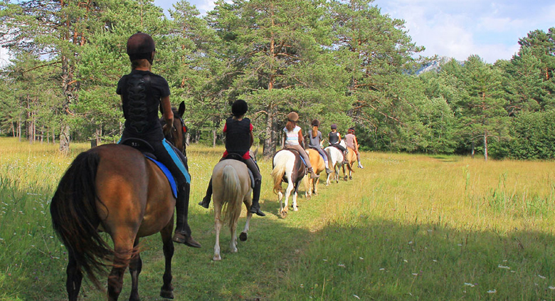 Nature Sensation - Image 3