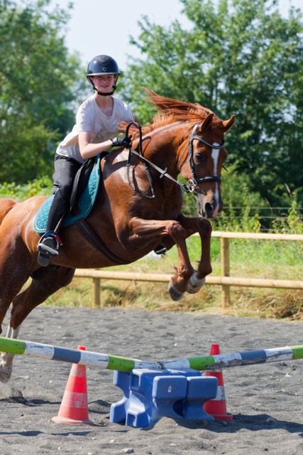 Camp sport équitation - Image 2
