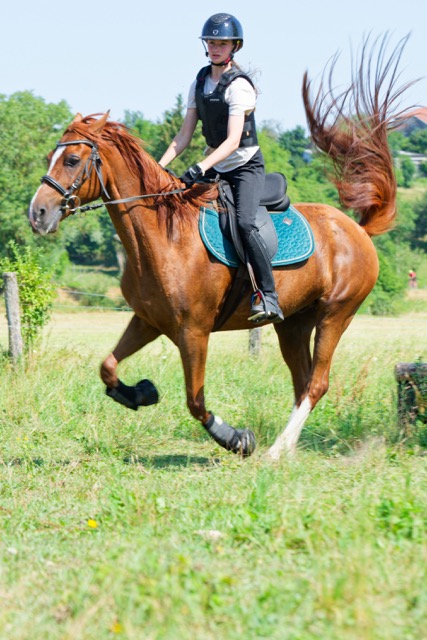 Camp sport équitation - Image 1
