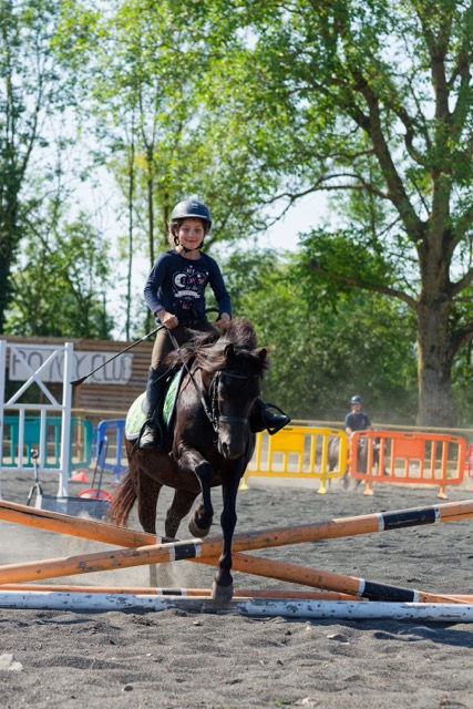 Camp de poney 6-12 ans - Image 3