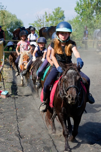 Camp de poney 6-12 ans - Image 2