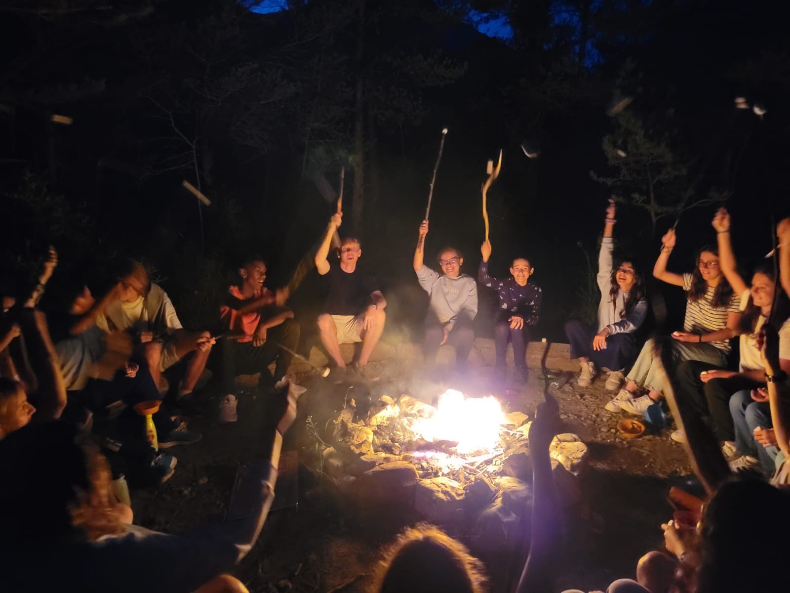 Robinson des bois - Image 3