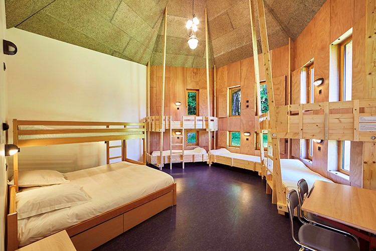 Apprenti soigneur- été - Image 3