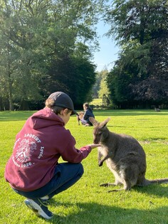 Les assistants soigneurs - Image 1