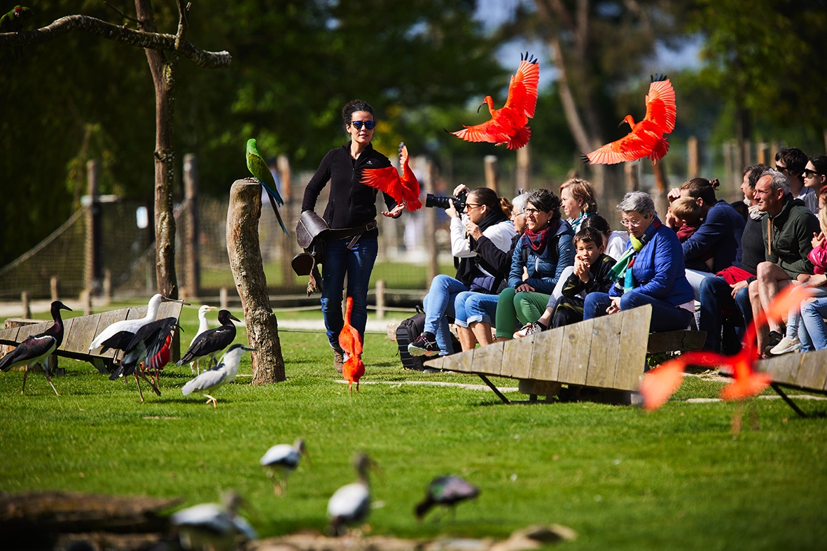 Les p'tits volontaires -J'AGIS POUR LA NATURE - Image 3