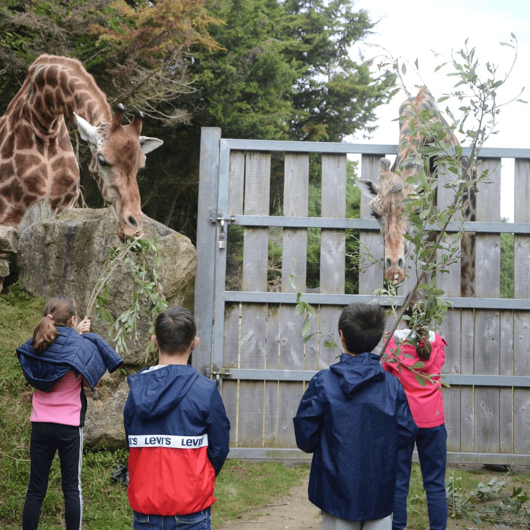 Les acteurs natures - J'AGIS POUR LA NATURE  - Image 3