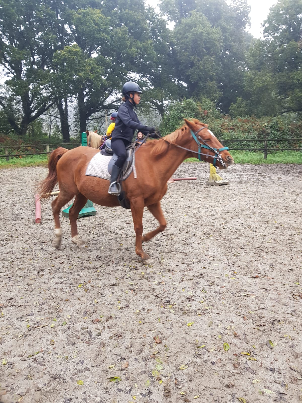 Séjours stage équitation 12-15 ans Centre Bretagne - Image 2