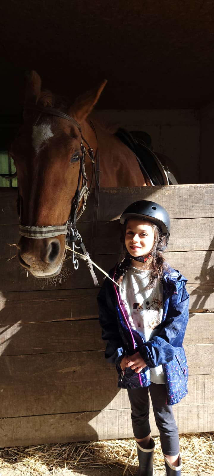 Séjours stage équitation 7-11 ans Centre Bretagne - Image 2
