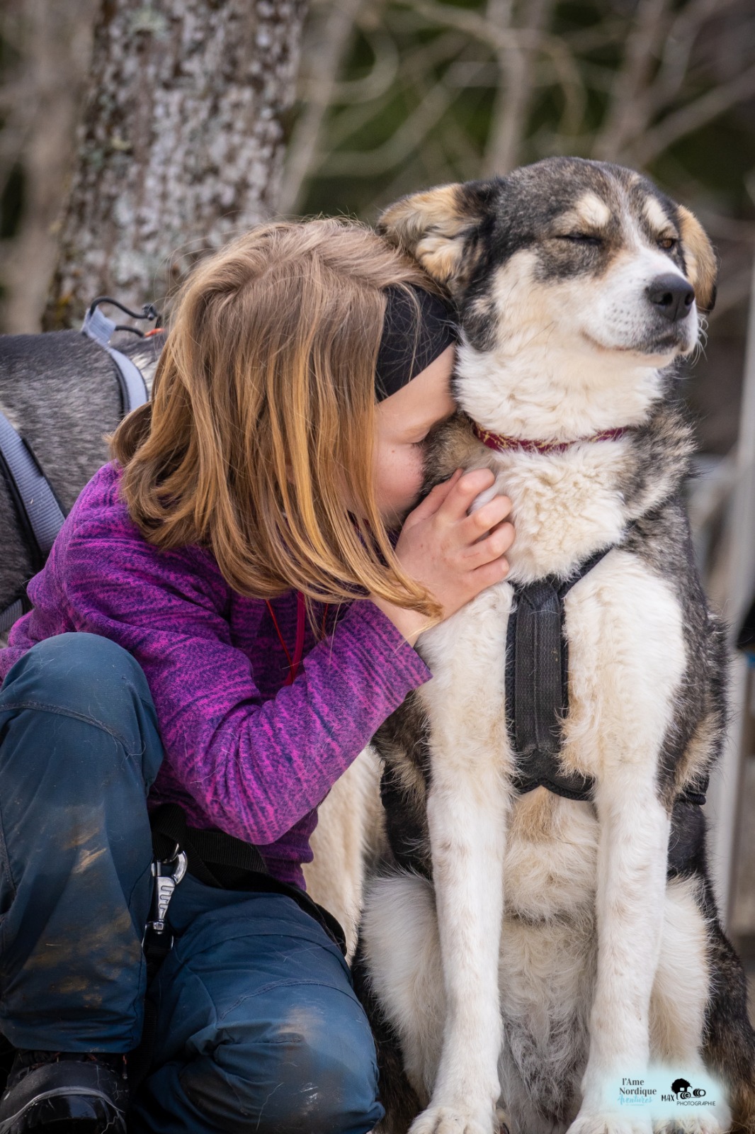 Cani-trappeurs du Vercors - Image 3