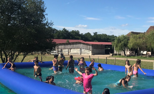 Vacances en Sologne - Image 3