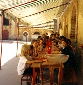 Vacances en Sologne - Image 2