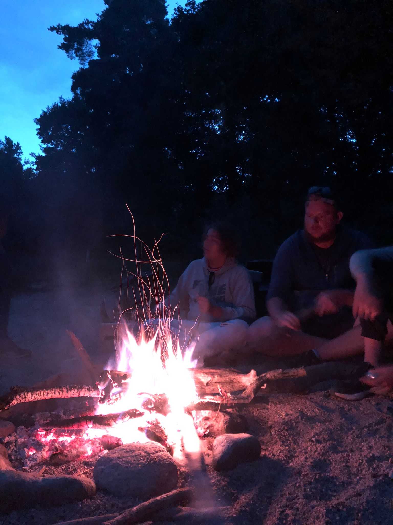 Colonie de vacances Z'animaux c'est trop rigolo - Image 3
