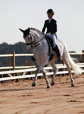 Stage équestre en Corse du sud - Image 2