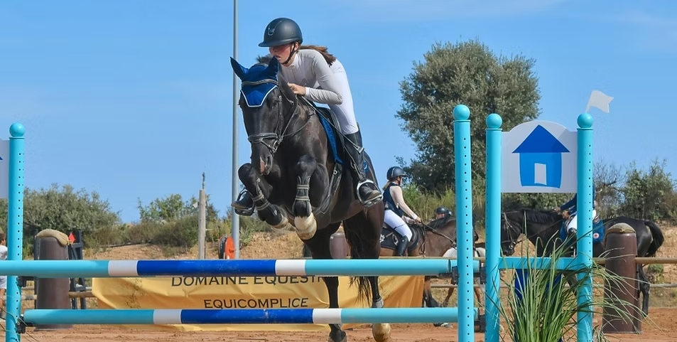 Stage équestre en Corse du sud - Image 1