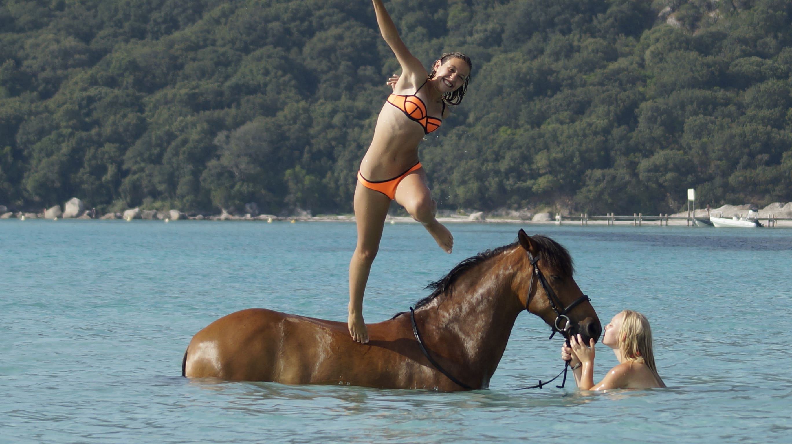 Stage équestre en Corse du sud - Image 3