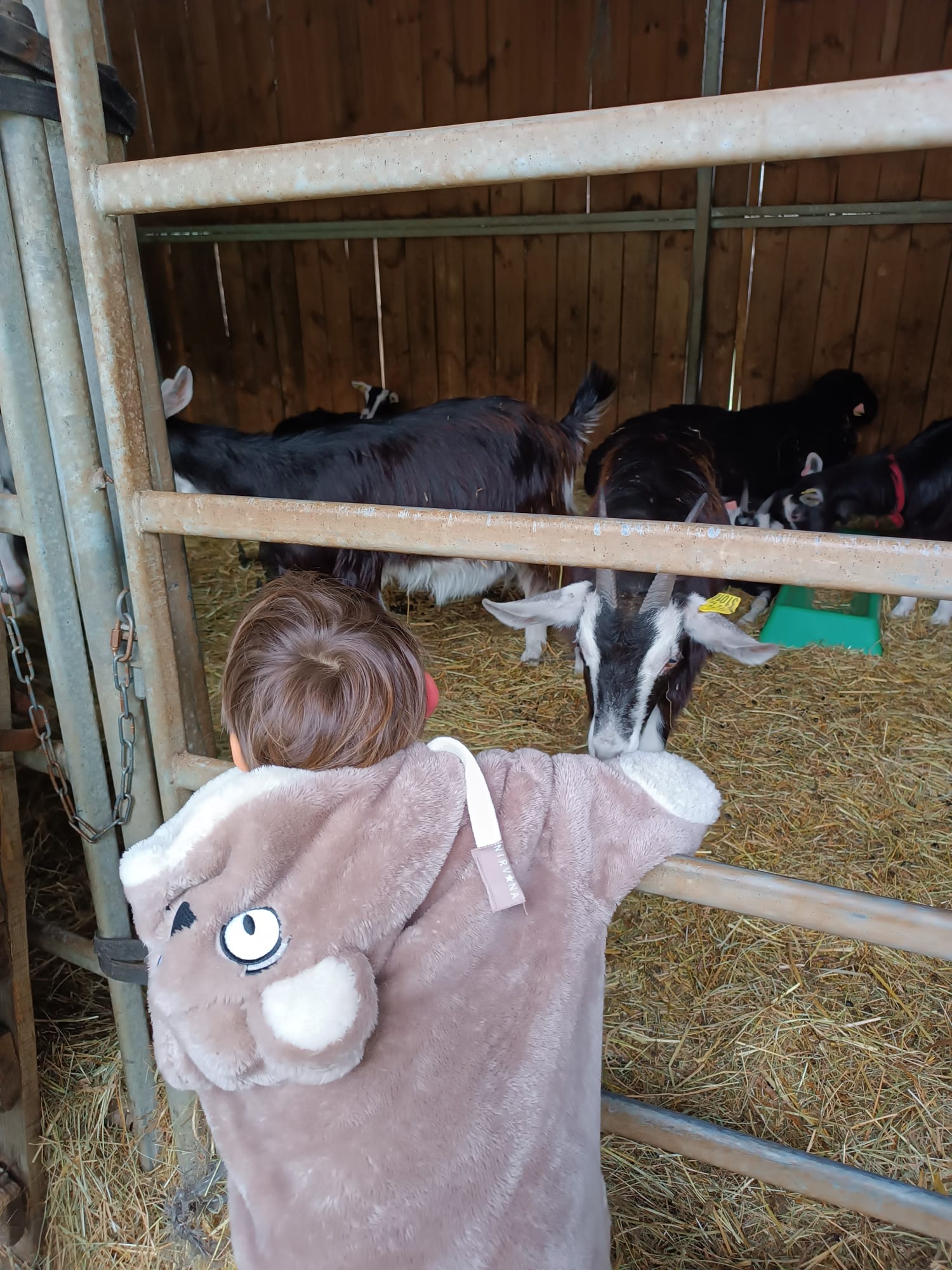 Vacances à la ferme (6-12 ans) - Image 1