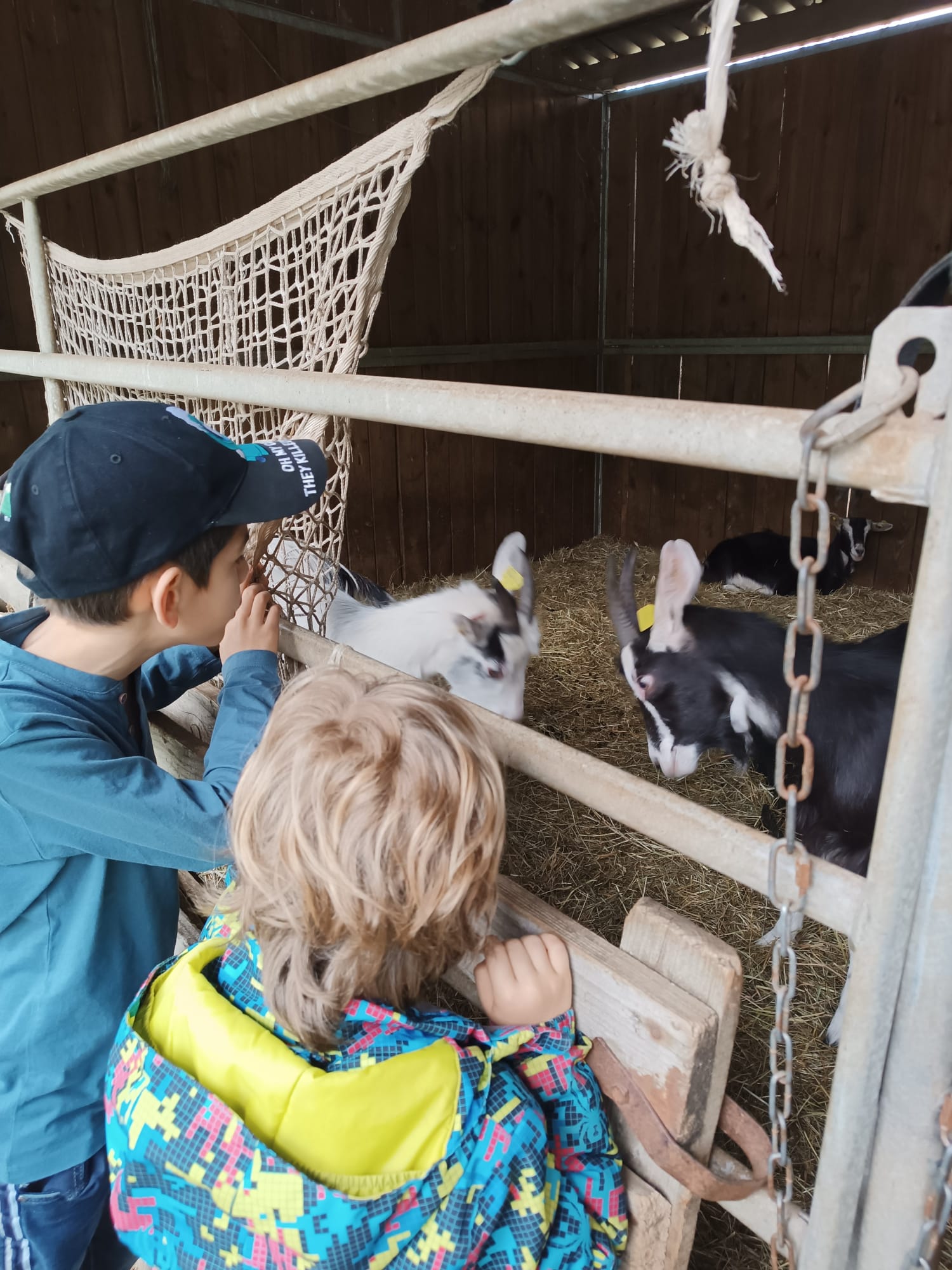 Vacances à la ferme (6-12 ans) - Image 2
