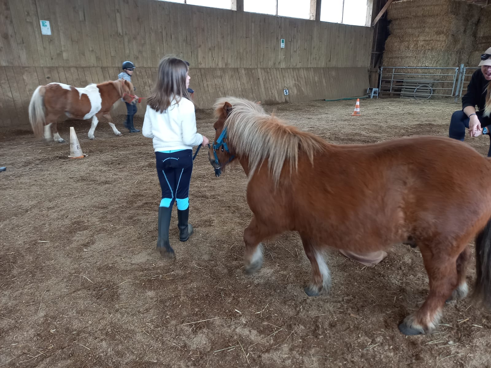 Vacances au galop (6-12 ans) - Image 1