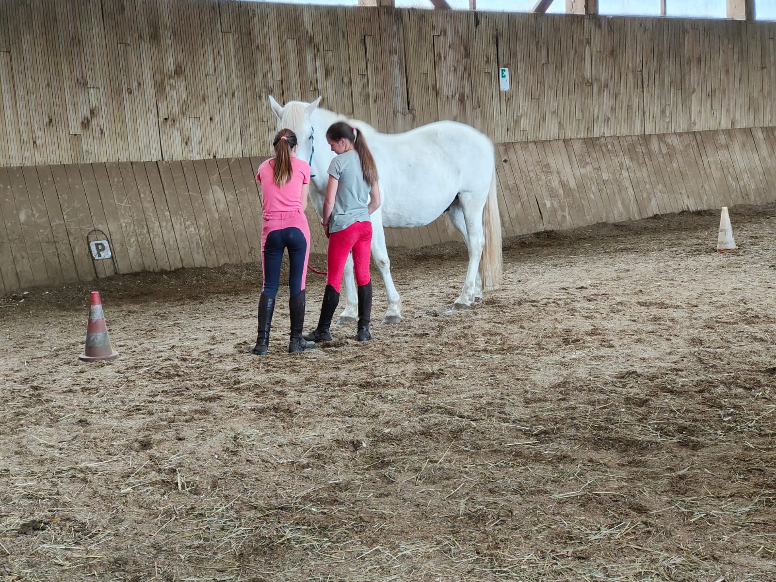 Vacances au galop (6-12 ans) - Image 2