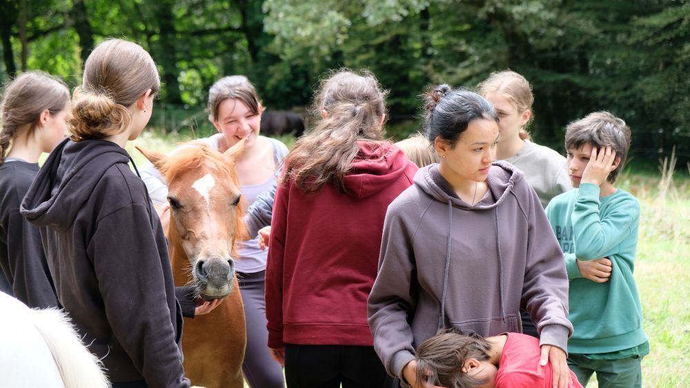 Stage d'équitation dans le Morbihan 8-11 - Image 3