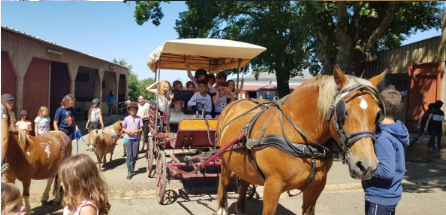 Colonie Poney Nature - Image 2