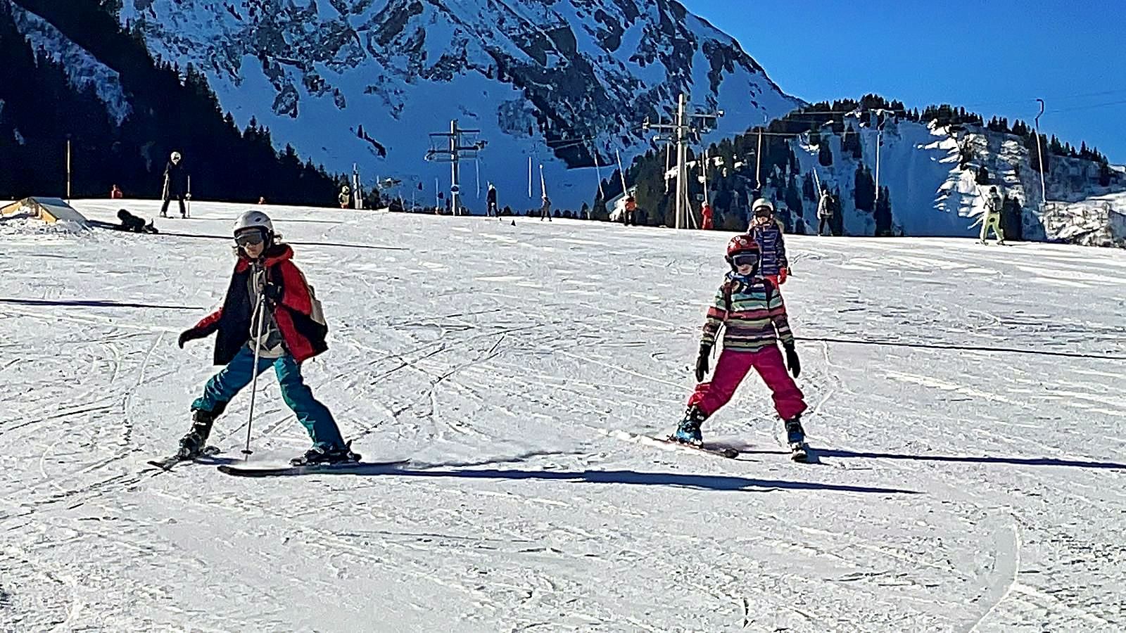 Motoneige électrique et Ski - Image 2