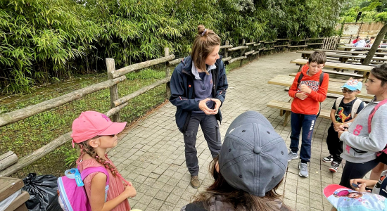 Ma colo aux Zoos - Image 3