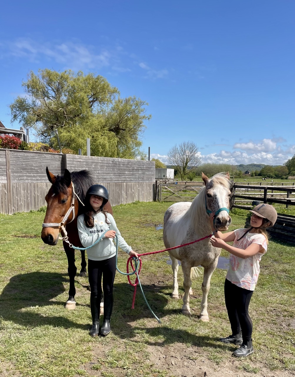 Stage Tennis et Equitation - Image 3