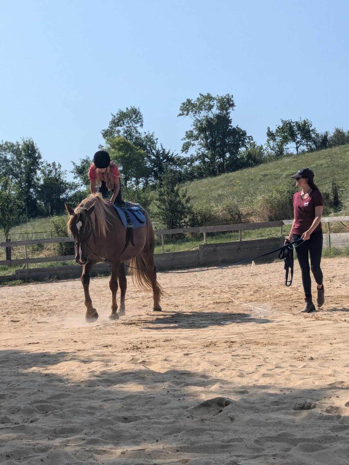Séjour équitation nature : balades et équitation éthologique 12-17 - Image 3