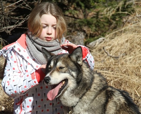 Mushers trappeurs - Image 1