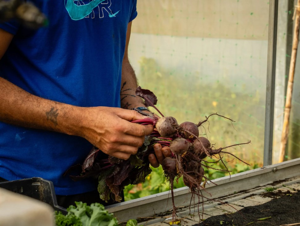 Summer camp aux Açores : projet éducatif et environnemental - Image 3
